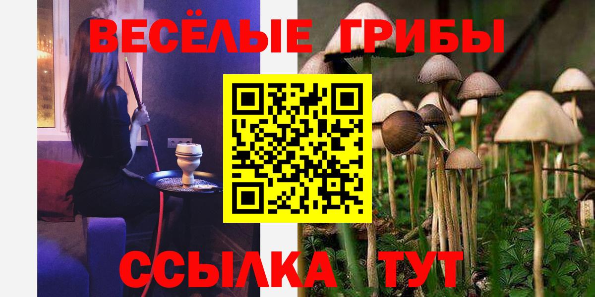 Псилоцибиновые грибы мицелий Гай