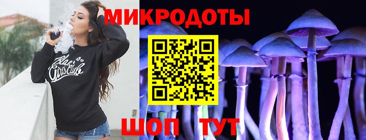 Гай  Галлюциногенные грибы Cubensis  Вход с VPN 