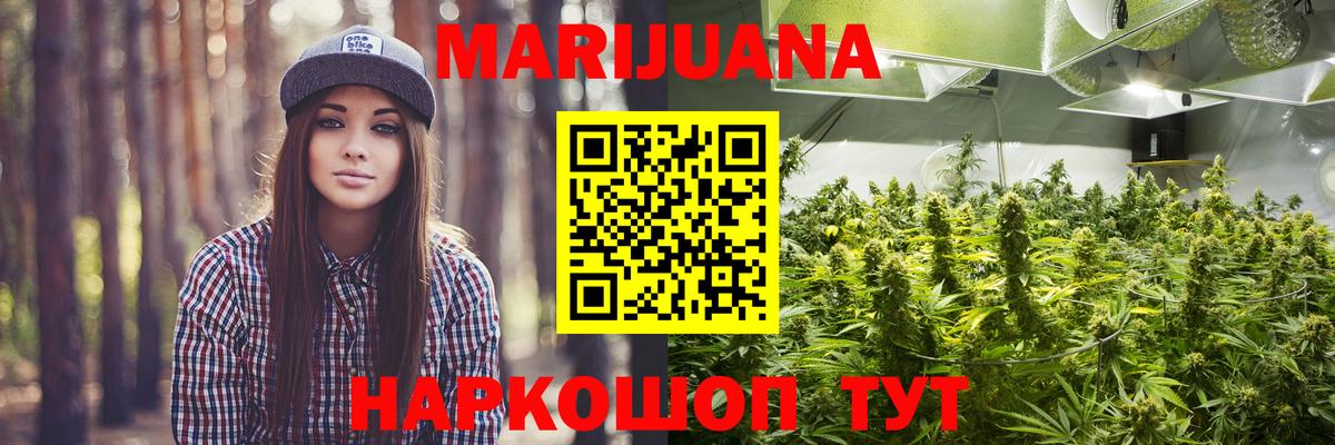 Конопля ГИДРОПОН Гай