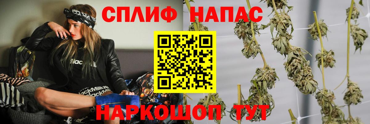 Гай  Бошки марихуана SATIVA & INDICA  Конопля ГИДРОПОН  Вход с VPN 
